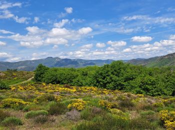 Excursión Senderismo Rosis - Circuit des banissous - Photo