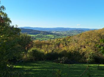 Percorso Marcia Uchon - Veauvillard - Velle - Photo