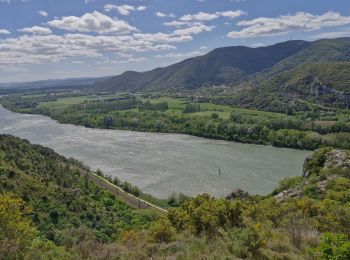 Randonnée Marche Châteauneuf-du-Rhône - Châteauneuf-du Rhône : Bois de Belle Eau le Rac 12km. - Photo