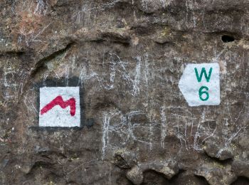 Randonnée A pied Consdorf - W7 Hiking Tour - Photo