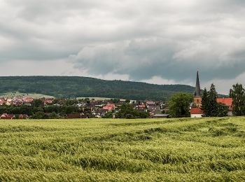 Tour Zu Fuß Litzendorf - Wanderweg Hügelgräber - Sängerehrenmal - Photo