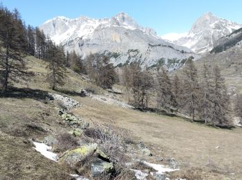 Percorso Sci alpinismo Le Monêtier-les-Bains - La pointe de L'etandard - Photo