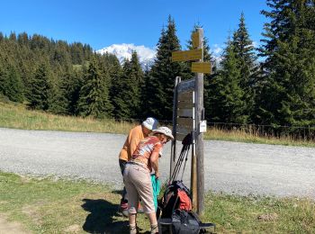 Randonnée Marche Hauteluce - Mont Clocher - Photo