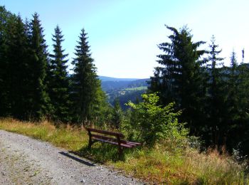 Trail On foot Warmensteinach - Warmensteinach Rundwanderweg Nr. 10 - Photo