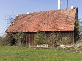 Percorso A piedi Nottuln - Longinusturm Rundweg A1 - Photo