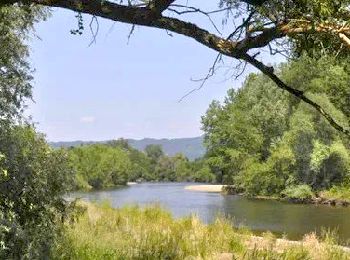 Tocht Stappen Charnat - Charnat_Allier_Dore - Photo