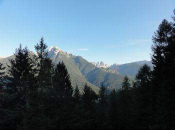 Percorso A piedi Lozzo di Cadore - Anello di Valzalina - Photo