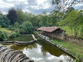 Trail sport Montpezat-de-Quercy - La baraque - gare de borredon - Photo