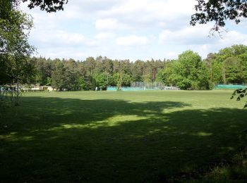 Tocht Te voet  - Erlenstegener Rundweg - Photo