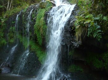 Randonnée Marche Albepierre-Bredons - Albepierre - Plomb du Cantal et des cascades - Photo