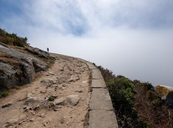 Percorso A piedi Vigo - Roteiro Illas Cíes 1: O Monte Faro - Photo