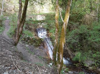 Trail Walking La Terrasse - 38 croix coquet - Photo