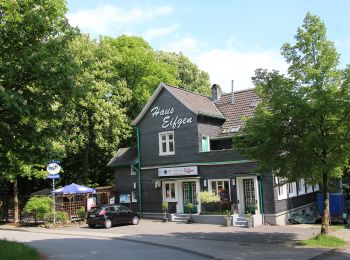 Excursión A pie Wermelskirchen - E1 - Vom Park ins Tal - Photo