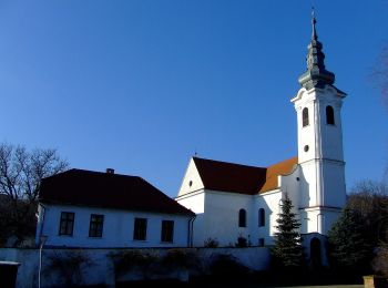 Tocht Te voet Zengővárkony - P+ Zengővárkony-Pécsvárad-Réka-völgy-Nagymányok - Photo