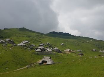 Percorso Marcia Kamnik - Velika Planina - Photo