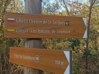 Trail Walking Saint-Privat - Abbaye de Grandmont - Photo