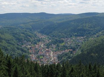 Randonnée A pied Bad Salzungen - Uhrenweg - Photo