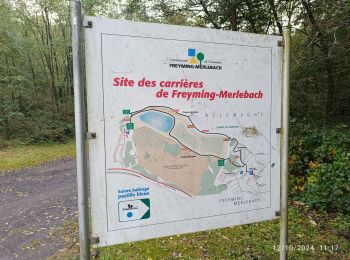 Trail Walking Freyming-Merlebach - carrière barrois - Photo