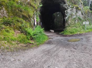 Tocht Stappen Xonrupt-Longemer - retournemer hohnech schiesrothried blanchemer et lande  - Photo