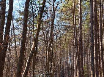 Percorso Marcia Huy - Marche ADEPS Solières - Photo