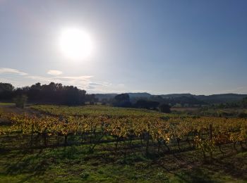 Randonnée Marche Laure-Minervois - Laure Minervois - Photo