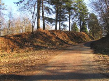 Tour Wandern Retheuil - en forêt de Retz_76_dans les forêts de Retz et de Compiègne - Photo