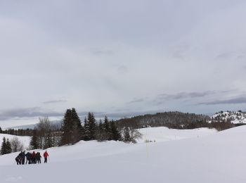 Tour Schneeschuhwandern La Pesse - la Pesse rando raquette neige  - Photo