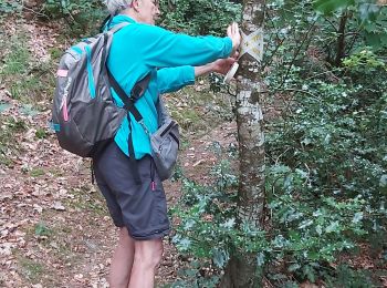 Trail Walking Kerfot - balisage Paimpol - Photo