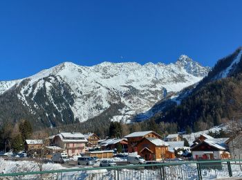 Tocht Sneeuwschoenen Chamonix-Mont-Blanc - 20230130 La Joux Argentiere - Photo