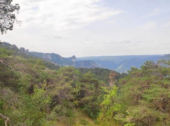 Trail Walking Massegros Causses Gorges - Baousse del fiel - Photo