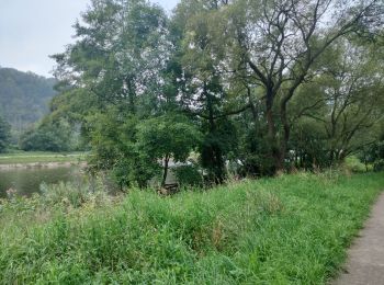 Randonnée Marche Esneux - Le long de l'Ourthe - Photo