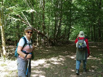 Trail Walking Bouilly - 12/06 /2020 commetruil  - Photo