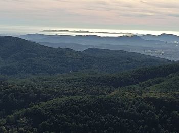 Tour Wandern Belgentier - barre de cuers - Photo