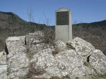 Tour Zu Fuß Firenzuola - (SI L09) Passo del Giogo di Scarperia - Passo della Futa - Photo