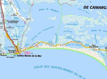Tocht Mountainbike Saintes-Maries-de-la-Mer - La digue à la mer - Saintes Maries  - Photo