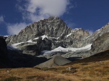 Randonnée A pied Zermatt - Zustieg Arbenbiwak - Photo