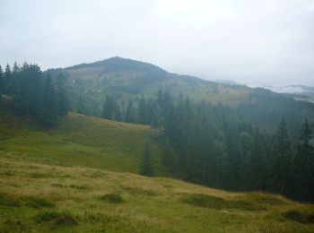 Tocht Te voet  - sat Arieșeni - Peștera Ghețarul Scărișoara - Photo