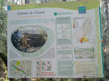 Randonnée Marche Saint-Remèze - 2020-09-14 : circuit des gorges de l’Ardèche  et dolmen de chanet - Photo