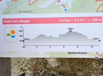 Trail Walking Kiischpelt - 2023-06-19_15h16m15_eislek-pad-lellingen-1 - Photo