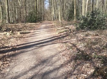 Trail Walking Mont-Saint-Aignan - Mont-saint-aignan- Chasse marée. sens inversé- 13km - Photo