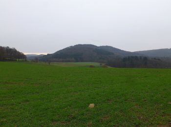 Tocht Te voet Weinheim - Geopark-Pfad Weinheim-Schriesheim - Photo