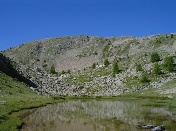 Tour Wandern Villars-Colmars - sommet de Denjuan - Photo