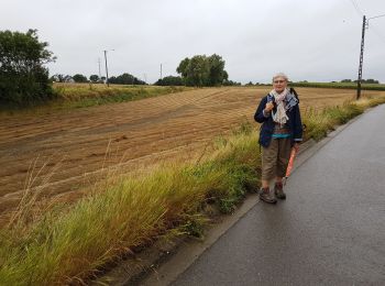 Tocht Stappen Morlanwelz - 2019-08-17 Carnières  21 km - Photo