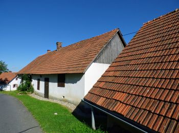 Percorso A piedi Sankt Anna am Aigen - Weinweg der Sinne - Photo