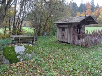 Tour Zu Fuß Brennberg - Goldsteigzubringer Höllbachtal - Photo