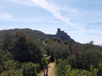 Trail Walking Cucugnan - querybus  - Photo