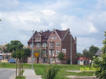Randonnée A pied Recz - Recz – Choszczno - Photo