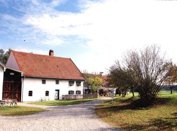 Excursión A pie Schöngeising - Kreuzweg - Photo