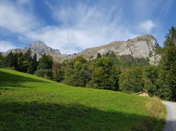 Trail Walking Sallanches - arrête des Saix - Photo