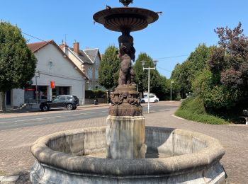 Tocht Stappen La Charité-sur-Loire - La charité chemin de Compostelle - Photo